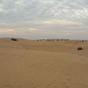 Meet your Posher, Natasha